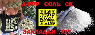 гашик Будённовск