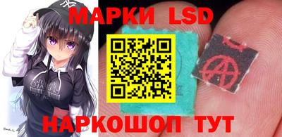 гашик Будённовск