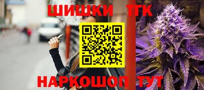 гашик Будённовск