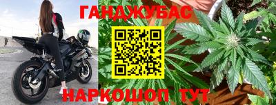 гашик Будённовск