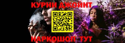 гашик Будённовск