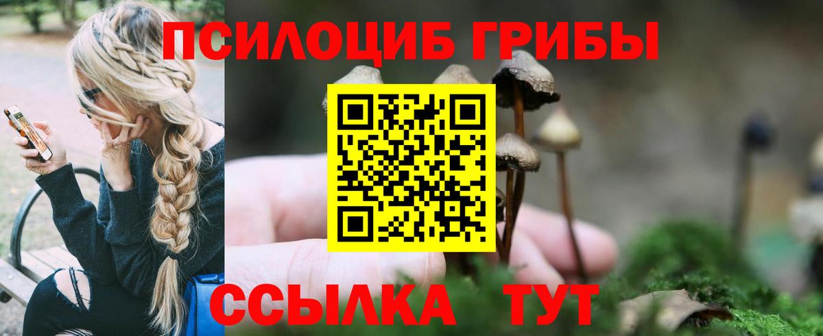 Галлюциногенные грибы ЛСД Томск