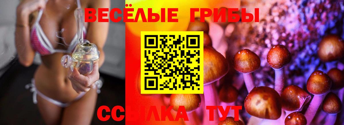 Томск  Псилоцибиновые грибы мухоморы  Вход с VPN  Псилоцибиновые грибы Psilocybine cubensis 
